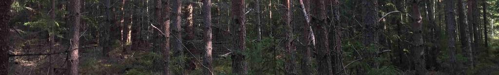 Se översiktskarta i skala 1:50 000 samt skogkarta i skala