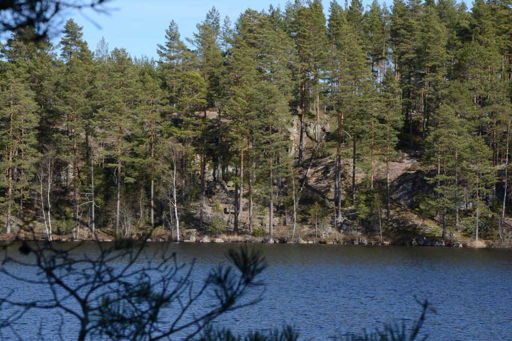 Vimmerby Rumskullahult 4:3 m.fl. Skogsgård vid Stora Holmsjön.