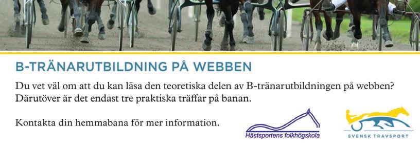 J Å 19/2-9 2/ 2140 3 16,3 ag xc 58 25 1 Äg: Mauro Prospero, Italien Ingves P Hd 28/2-3 2/ 2640 1 16,2 a xc 96 25 Blå, vit kil, gula ärmbindlar; vit Ingves P Å 19/3-9 5/ 2640 6 15,3 g xc 109 35 Hd