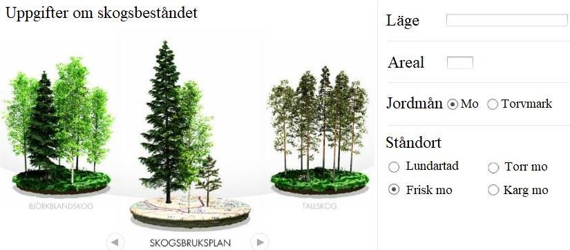 Därefter flyttar man till nästa steg där man skall ge skogens läge, hur stor area skogen har och hurudan jordmån och ståndort skogen har.