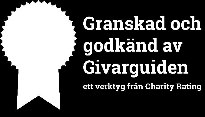 I samarbete med Salvequick var Clowner utan Gränser också ansvarig för barnområdet vid Diggilooturnén sommaren 2016 och bjöd in barnen till en föreställning med Cirkus Salve.