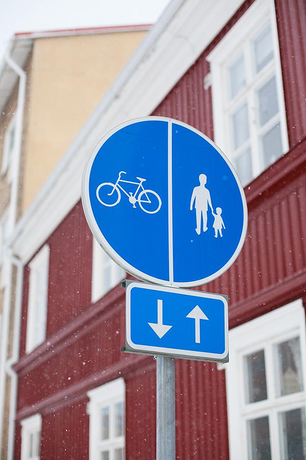 BILAGA 3 Genomförda och pågående åtgärder vid sidan av åtgärdsprogrammet