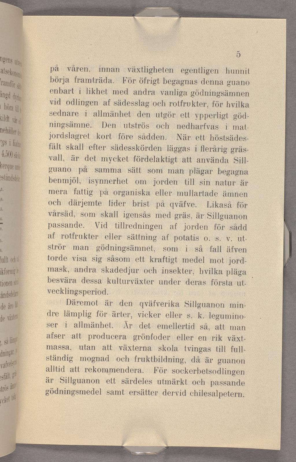 5 på våren. innan växtligheten egentligen hunnit börja. framträda.