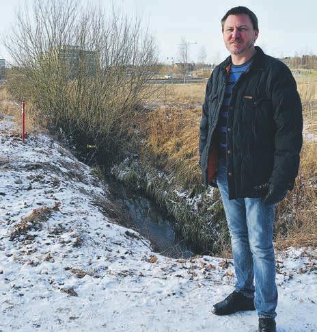 Sundbybergs stad vill även satsa mer inriktat på sina kontakter med näringslivet. En katt på jakt strövar omkring i det höga fjolårsgräset.