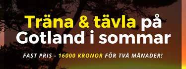 SUNDBO CIKORIA 0:, M Tot: 0-0-.00,br.s.e Enjoy Lavec - : 0-0-0,a.000 : 0-0-,.