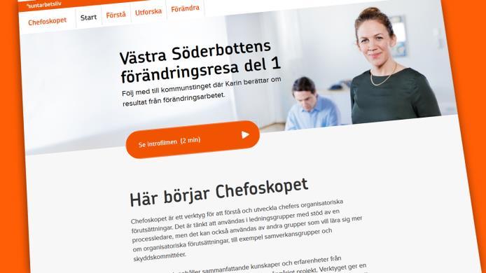 perspektiv för chefer i offentlig verksamhet Anna Cregård, Stefan Tengblad och Erik