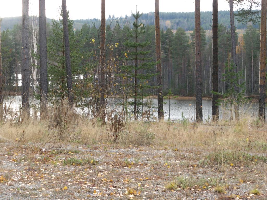 Västerbottens län
