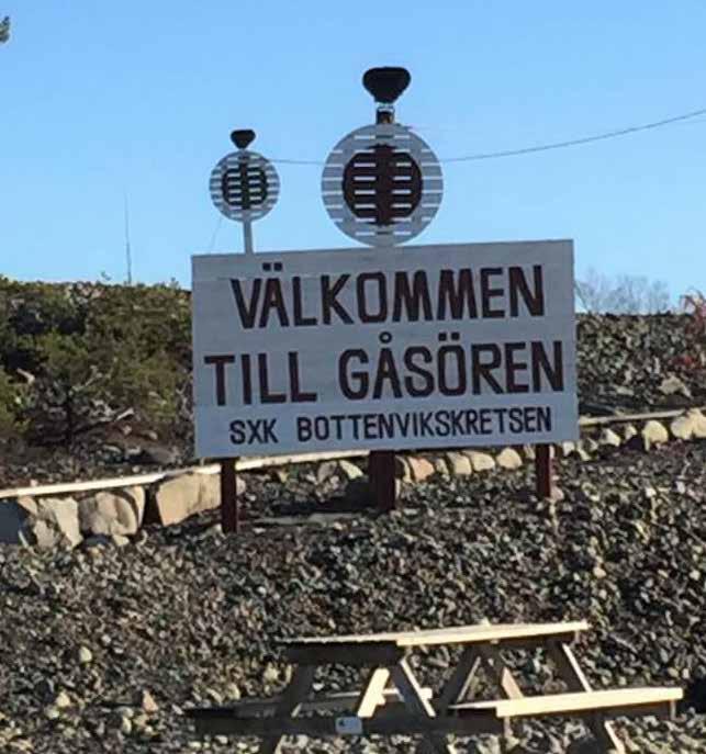 Nya krafter till Gåsören Det händer saker på Gåsören. Efter att behovet av nya former för underhåll och skötsel av de gamla fyr- och lotsbyggnaderna kommit fram har många reagerat positivt.