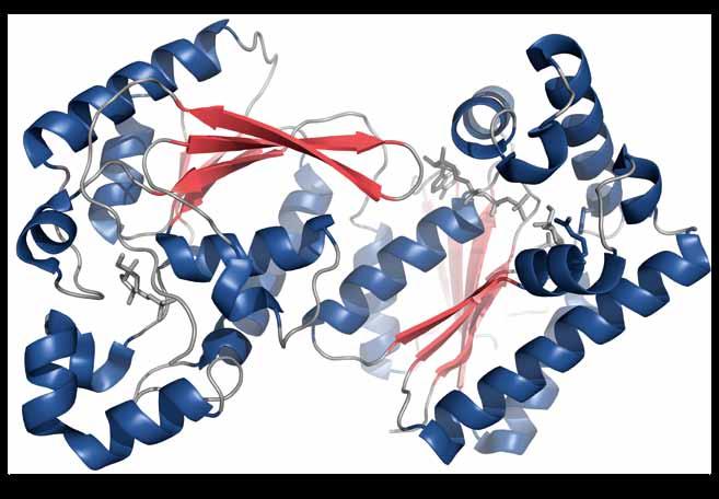 kancera / VERKSAMHET / medel via så kallad Translational Drug Discovery and Development (tvärdisciplinärt arbetssätt som syftar till att översätta viktiga upptäckter till kliniskt relevanta