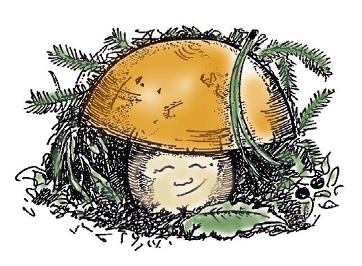 Natur, miljö, kost och hälsa med mera Måndagar kl 1330 på Lyckträffen 3/9 Tobak och droger Föredrag av Ashart Dayani Arr NBV 17/9 Närvård Information av Maire Berggren 24/9 Svampexpo Ta med svampar