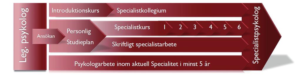 Specialistutbildningens formaliserade kompetensutveckling leder fram till behörighet som specialistpsykolog inom vald specialitet. Utbildningen omfattar flera integrerade moment.