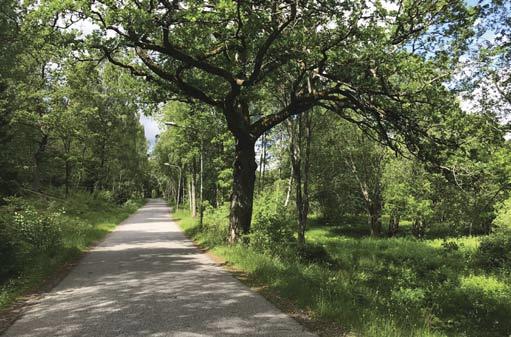 GATOR OCH TRAFIK Bebyggelsen utmed Skärholmsberget bildar slutna kvarter mot gatan, med entréer och levande bottenvåningar.