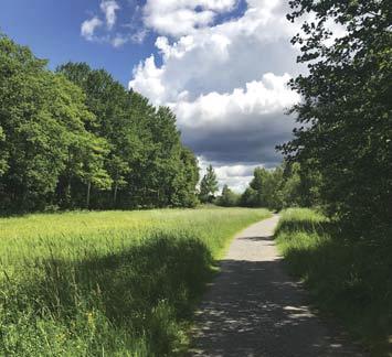 PARK OCH NATUR Figur 72. Befintligt promenadstråk och elljusspår utmed södervänt skogsbryn. Figur 73. Gångståket i Skärholmsdalen. Figur 74. Koloniområde i Skärholmsdalen. Figur 75. Skärholmens gård.