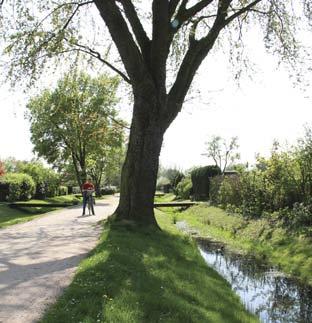 Promenadstråk genom koloniområde. Figur 78.