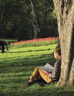 Sittplatser och blomsterprakt Uppvuxna träd i parkens västra del