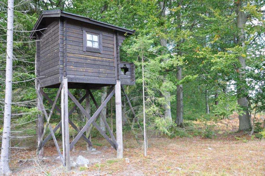 Samfällt fiske i Verkeån samt tångfångsträttigheter i Östersjön. På fastigheten finns en jaktbod/viste på pålar.