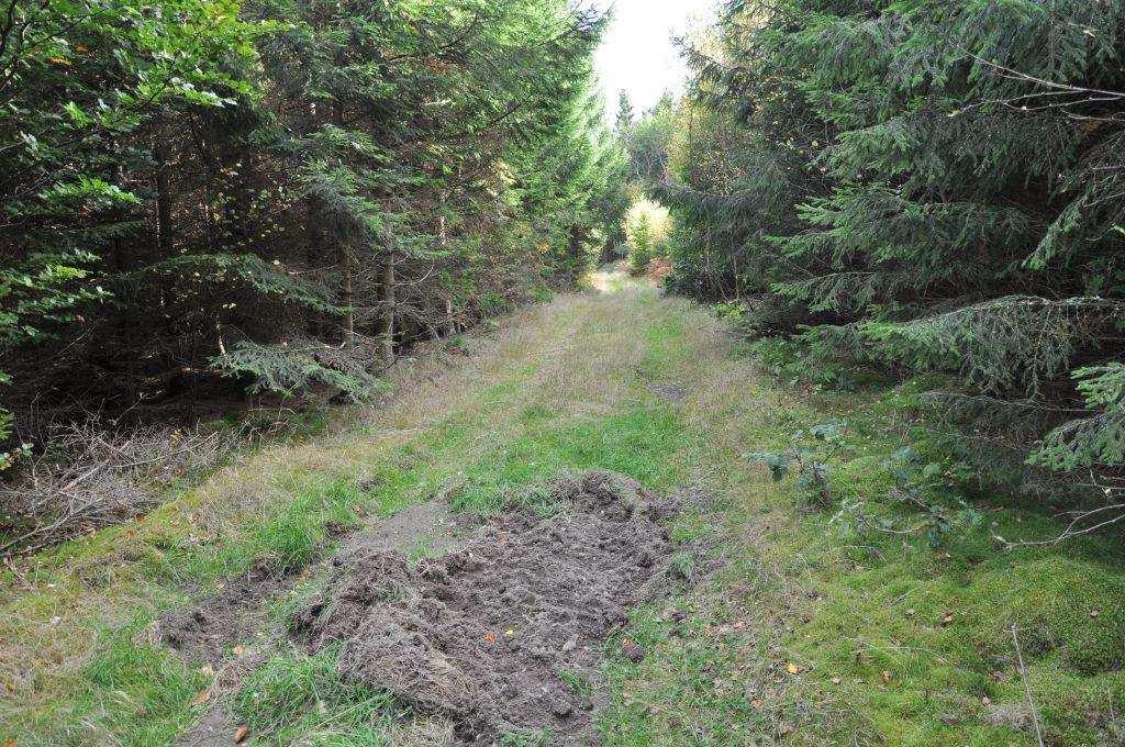 Simrishamn Ravlunda 15:13 Simrishamn Ravlunda 15:13 Om fastigheten Typ: Skogsfastighet, byggnadsfri Virkesförråd: 2 921 m³sk Mark: 19 ha Pris: Budförfarande