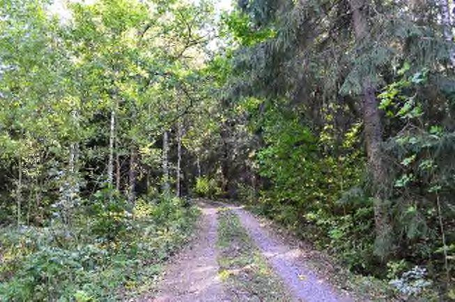 Allmänt Skogsfastighet belägen norr om Kristvallabrunn i byn Morebo Fastigheten består av ett större skifte samt fyra mindre Väldigt välskött skog med hög tillväxt på fina marker Från Kristvallabrunn