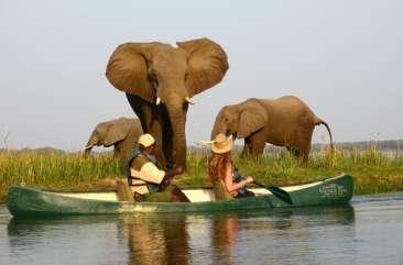 resenärer, vilket är svårt att förstå - den är hela 4 092 km 2 stor, men det som verkligen är den stora fördelen är att djuren samlas på slätten vid floden Zambezi.