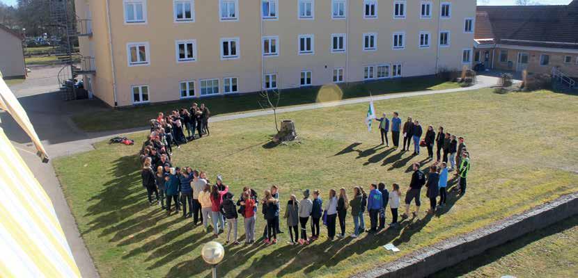 Deltagarna tävlade, över en helg, inom profilområdena: Jord & Skog, Hem & Hushåll, 4H- & Föreningskunskap samt Kultur & Idrott.