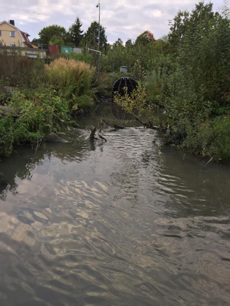 3. Bällstaån, Mjölnarstigen, Spånga 2017-09-14 Län: 1 Stockholm Kommun: Stockholm Koordinater: 6585249 / 144624 (Sweref 99 18.00) Provtagningsmetodik: SS-EN 13946:2014, utg.