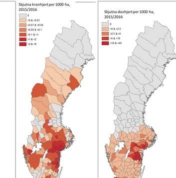 älgförvaltningsnivå (ÄFO). Avskjutningsdata från www.viltdata.se, Jägareförbundet.