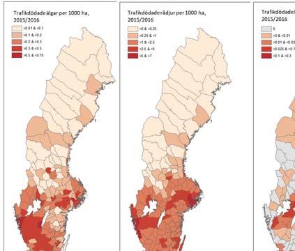se/beyond-moose.html), som är finansierat av Naturvårdsverket via medel ur viltvårdsfonden.