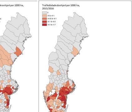 Fördelning av viltolyckor med älg, rådjur, kron- och dovvilt på älgförvaltningsnivå (ÄFO-nivå)