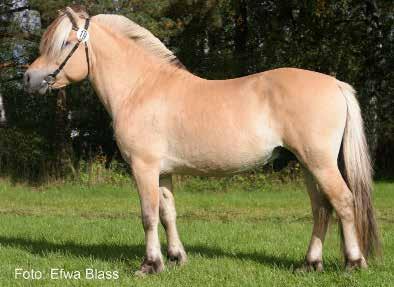 Alexander Lukas 183 Annelie af Ekenstam, Vimmerby Tel: 0492-72052, 073-8472052 Gotlands