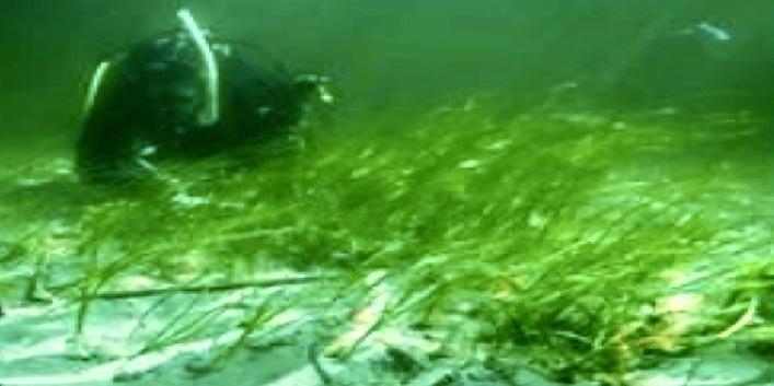 Vad gör länsstyrelsen? Karl Svanberg är marinbiolog och anställd på länsstyrelsen i Sörmland. Hans huvuduppgift är att ta fram underlag för att bilda fler marina reservat i skärgården.