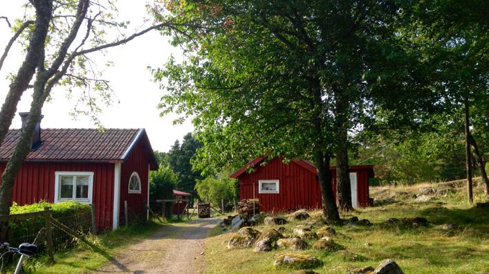 Vad kan vi själva göra? SXK:s Miljöråd för ett miljösäkert båtliv Använd landbaserade toaletter så ofta som möjligt så att toatanken inte behöver tömmas så ofta.