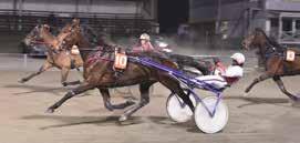 HÄNT SEN SIST nyheter från gävletravet Bollnäs 14 november Lady Flax har som sexåring börjat karriären på ett fint sätt. Andra segern på fyra starter.