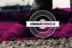 SEGRANDE HÄST VINNARODDS OMSÄTTNING ANTAL ANDELAR ATT UTDELA AVD SEGRARE KVARVARANDE VÄRDE AVD SEGRARE KVARVARANDE VÄRDE V SKELLEFTEÅ UTAMANA DINA