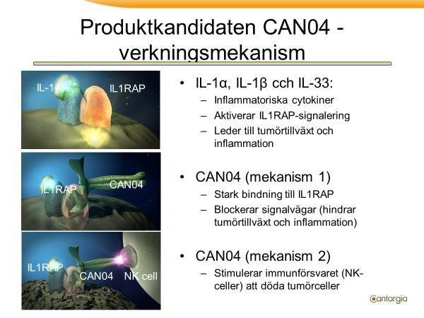 Beskrivning av de dubbla verkningsmekanismerna för Cantargias antikropp CAN04.