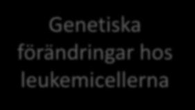 faktorer Genetiska