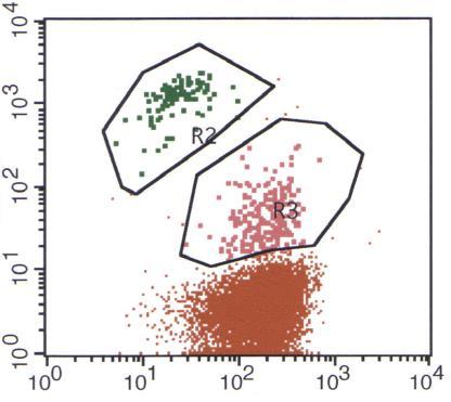 (a) (b) (c) Figur 3. Tre flödescytometridiagram.