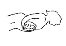 An.kropparna passerar över placenta och