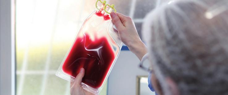 STRATEGI FÖR TILLVÄXT Universella blodprodukter öppnar upp nya möjligheter Under de senaste åren har Bolaget fokuserat sitt utvecklingsarbete för att ta fram produkter för användning vid framtagning