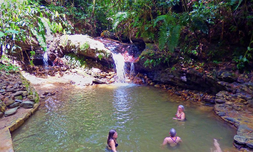 DAG-TILL-DAG PROGRAM Dag 1: Flyg från Skandinavien till Tobagos internationella flygplats. Transport till sydvästra hörnet på Tobago, till vårt hotell Sandy Point Hotel, Crown Point.