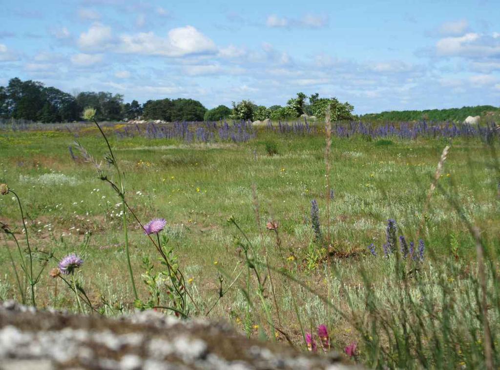 &. Naturmiljö samt rekreation och friluftsliv WSP har upprättat en naturvärdesinventering för området. Inventeringen kan ses i sin helhet i bilaga 1.