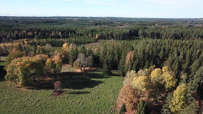 Enligt nyligen upprättad skogsbruksplan är virkesförrådet bedömt till ca 9 900 m3sk. Bonitet 6,9 m3sk/ha.