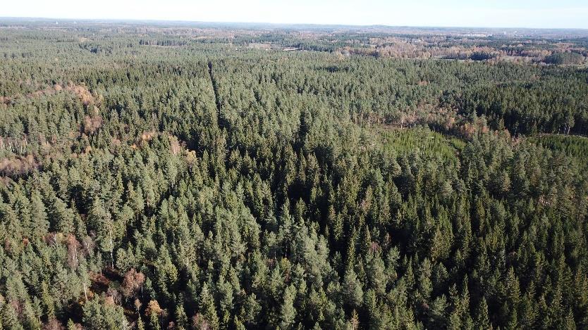 Summa areal enligt fastighetstaxering: 82 ha. Summa areal enligt Skogsbruksplan: 84,7 ha.