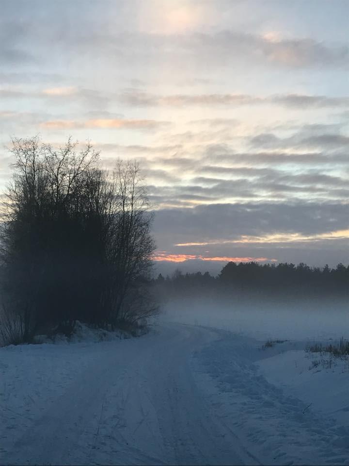 10.1.2018 Nr 3 la sa ret 2017-2018 Rektorn har ordet KSGnytt Ho stterminen kom och gick en rasande fart och den var va ldigt ha ndelserik.