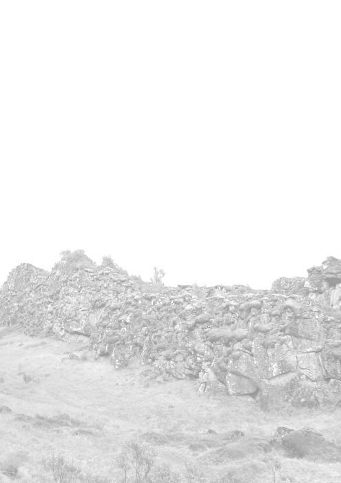 Geysir 25.
