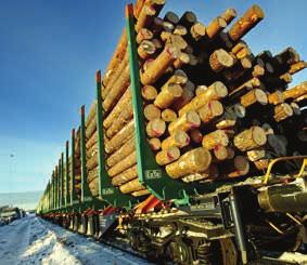 Omvärldsfaktorer Virkestillgången Sverige har aldrig haft så mycket skog som idag och skogen har aldrig vuxit så snabbt som den gör nu.