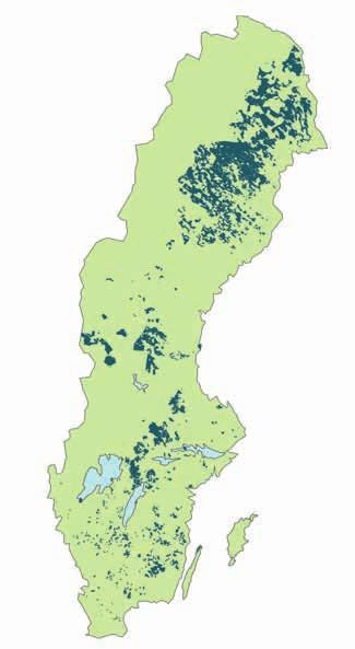 Skogsbruket Ett aktivt skogsbruk skapar värden för generationer Sveaskog brukar skogen så att klimatnyttan, den biologiska mångfalden liksom sociala och ekonomiska värden förstärks både nu och för