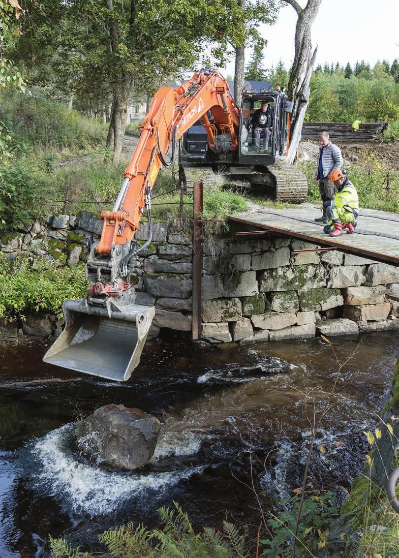 Biologisk mångfald Dammrivning gynnar öring och mussla Under 2017 har två dammar i Hedströmmen i Västmanland rivits i samarbete med länsstyrelserna.