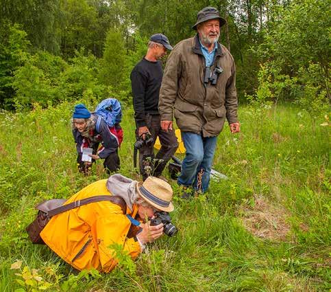 BIOBLITZ 2017 Lördagen den 10 juni genomförde vi en s k Bioblitz inom området Aggarp- Röshult-Möllarp (drygt 200 hektar).