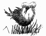 Av någon anledning har träd planterats på kanalbanken! Den del av ytan som fortfarande är opåverkad av grävning har slagits med slåtterblad under hösten.