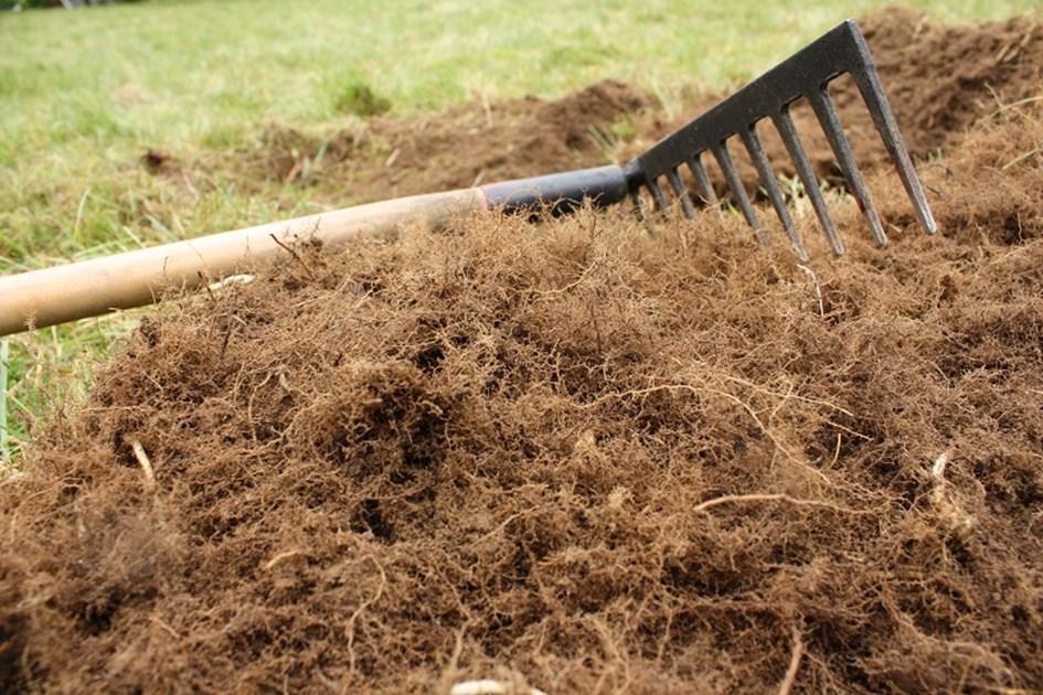 Genom att gräva bort grässvålen på enstaka fläckar i ängsvallen kan man få